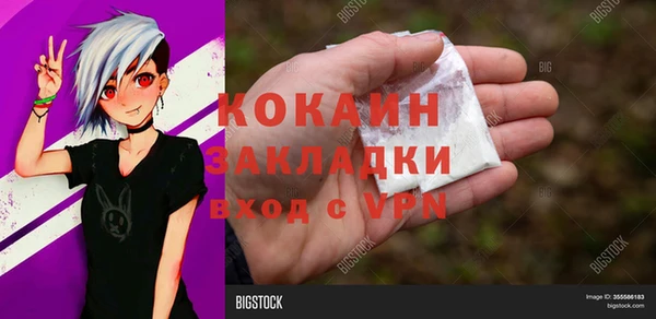 индика Балабаново