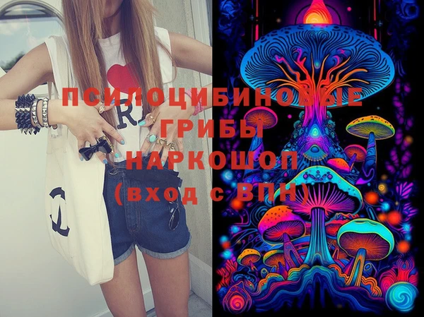 индика Балабаново