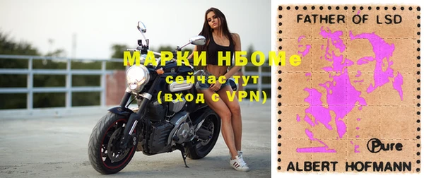 индика Балабаново