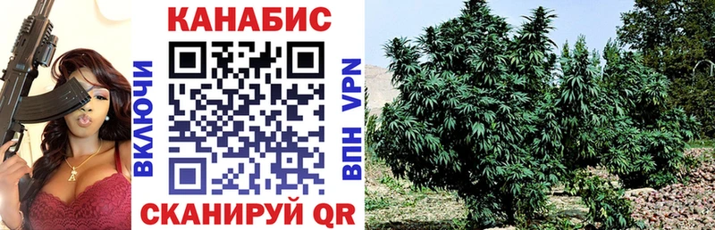 продажа наркотиков  Верея  Марихуана семена 